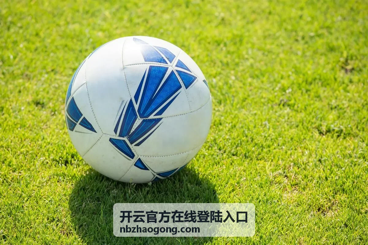 开云官方在线登陆入口帮助文档安装使用说明