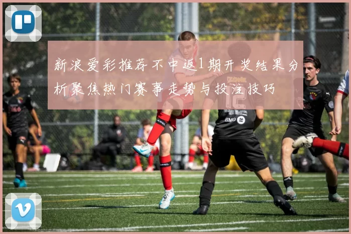 新浪爱彩推荐不中返1期开奖结果分析聚焦热门赛事走势与投注技巧