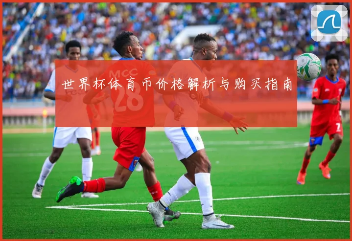世界杯体育币价格解析与购买指南